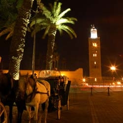 feasts van eind van bijlage. Marrakech displays compleet!