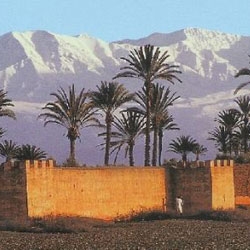 oprichting van de Marokkaanse instituut in Marrakech