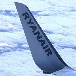 raynair De stelt 
