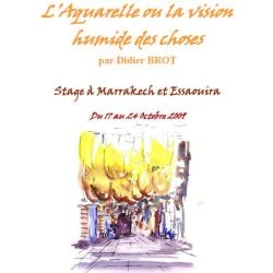 De visie vochtige van Marrakech en essaouira ...