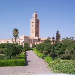 De groene ruimten en plaatsen die voor lange wegloopt bij nacht in de zomer in Marrakech