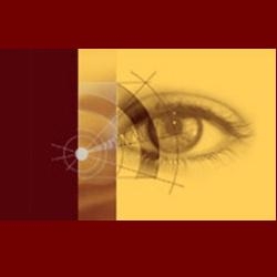 IFF Marrakech: films voor het kwaad en de niet-'