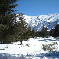 De journalisten amateurs van skiën in Marrakech