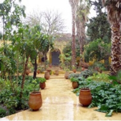 In memoriam toegekend aan Denise kleuringen, een belangrijke figuur van het landschap van Marrakech