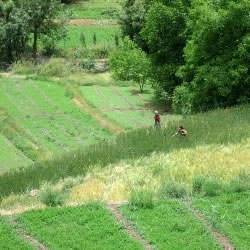 De kleine ambachtelijke landbouw op het gebied van Marrakech, tensift-al inrichting