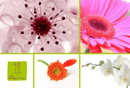 Bloem 
