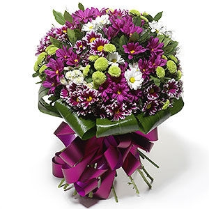 Star bloem