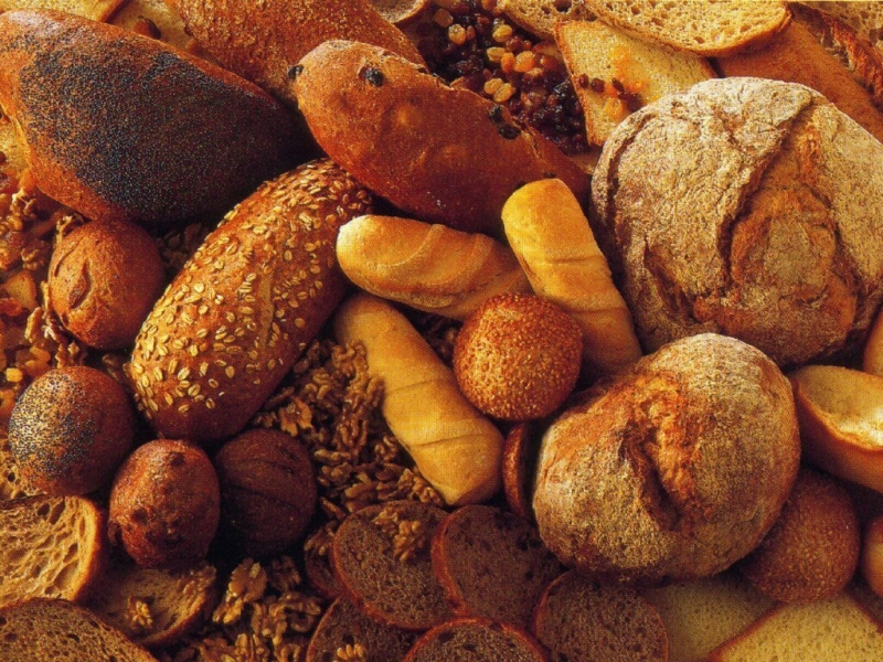 De docenten van brood