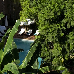 de tuinen van de Medina