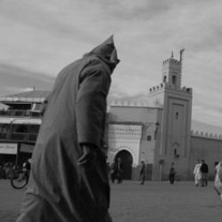 De zeven heiligen in Marrakech