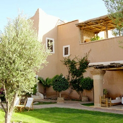 Le développementtigmi