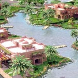 rivier Palm of muggen eiland
